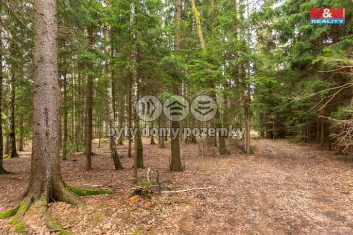 Prodej, Louka, Vysočina