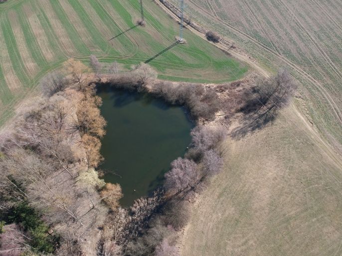 Prodej, Vodní plocha, Pelhřimov