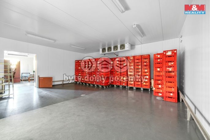 Pronájem, Obchod a služby, Červený Kostelec