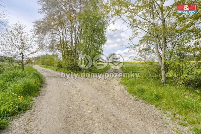 Prodej, Pole, Ostrov u Bezdružic