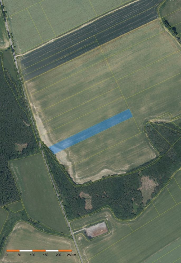 Prodej, Pole, Šebestěnice