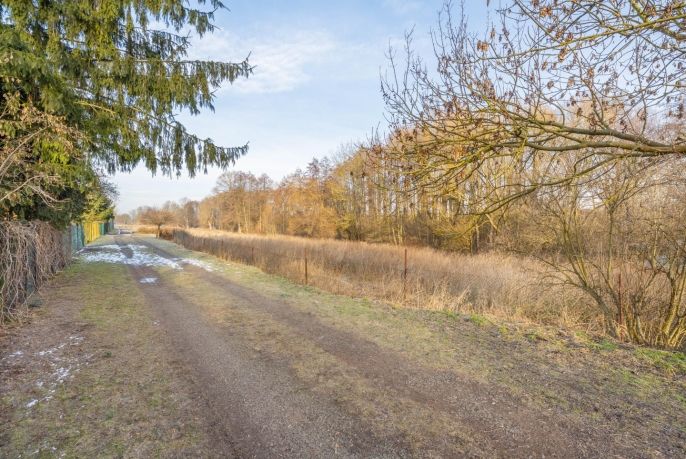 Prodej, Zahrada, Zlonice