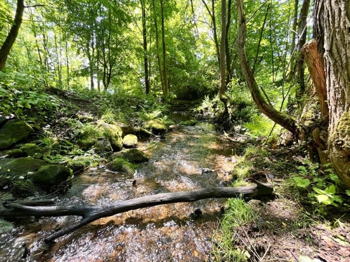 Prodej, Vodní plocha, Skalice u České Lípy