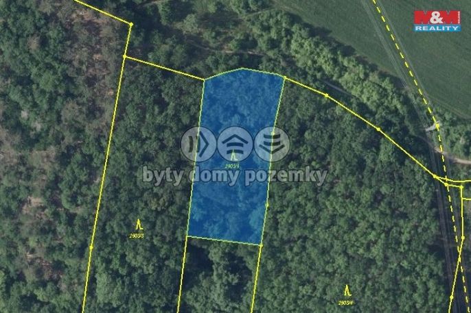 Prodej, Les, Bílina