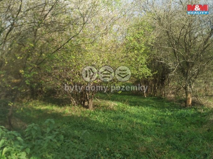 Prodej, Zahrada, Olomouc