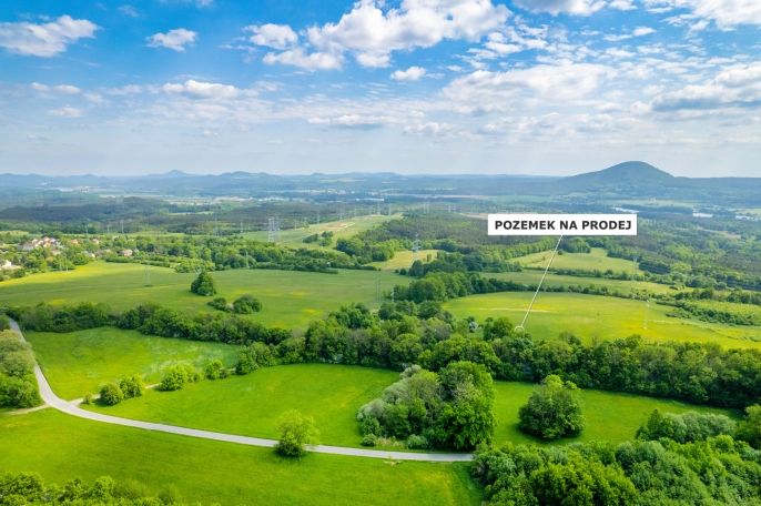 Prodej, Louka, Kozly