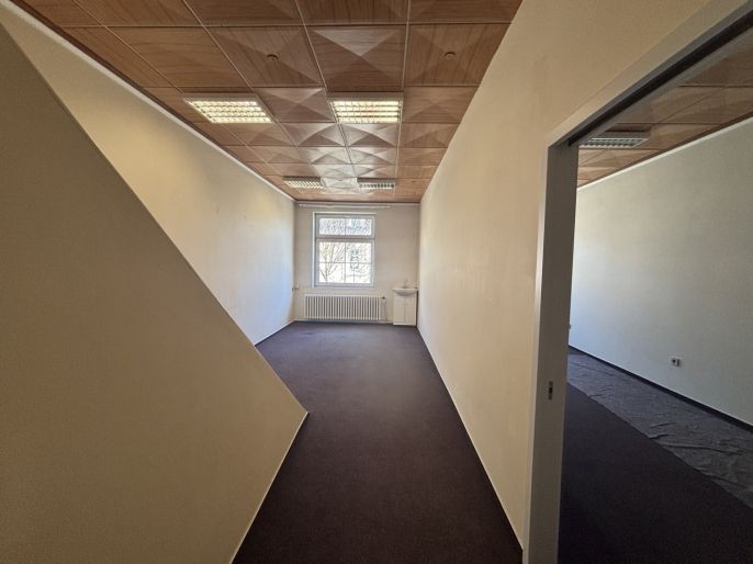 Pronájem, Obchod a služby, Beroun