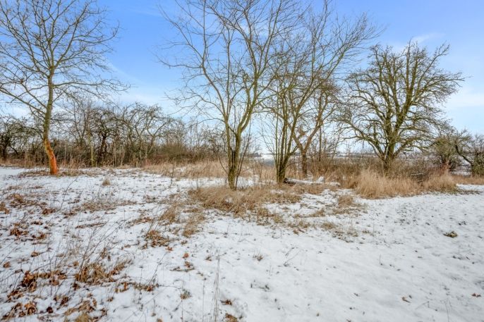 Prodej, Zahrada, Pchery