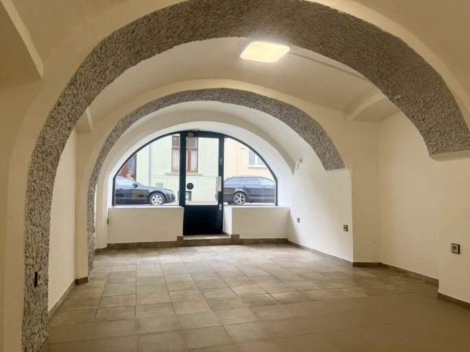 Pronájem, Obchod a služby, Slaný