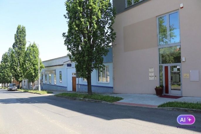 Prodej, Obchodní objekt, Mělník