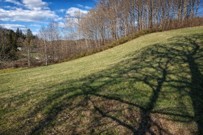 Prodej, Louka, Janův Důl