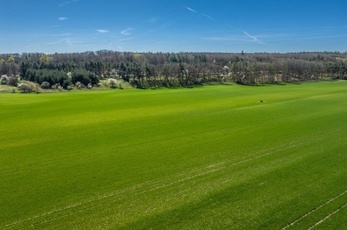 Prodej, Pole, Benátky nad Jizerou