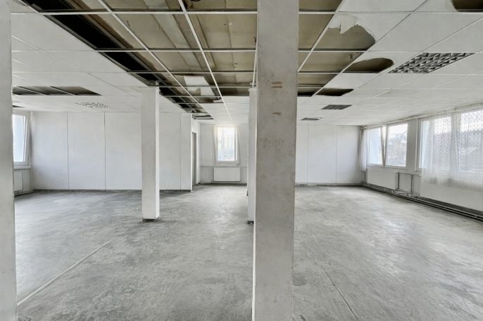 Pronájem, Kancelářský prostor, Tichá