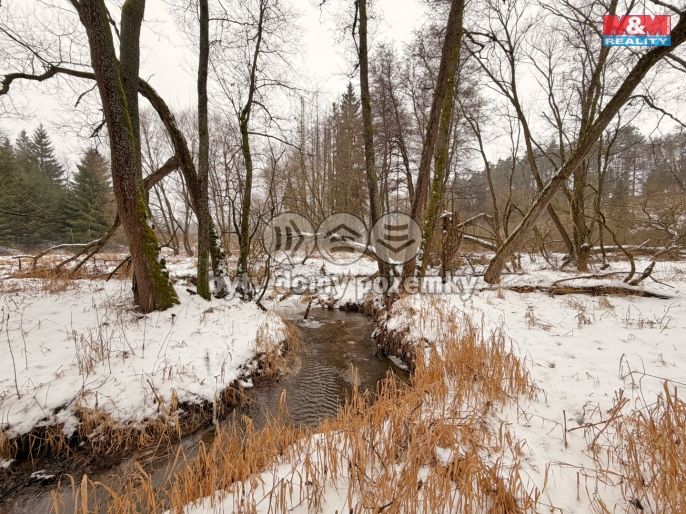 Prodej, Vodní plocha, Dolní Hořice