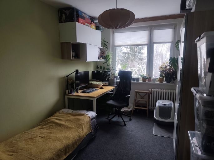 Pronájem, Byt 3+1, Lány