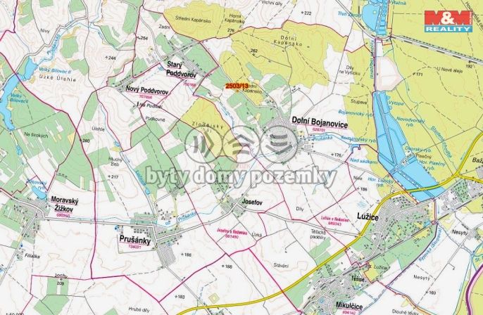 Prodej, Pole, Dolní Bojanovice