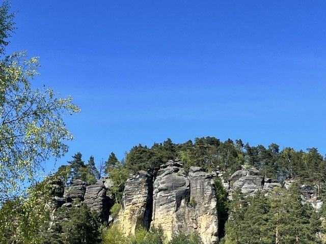 Prodej, Pozemek k bydlení, Svojkov