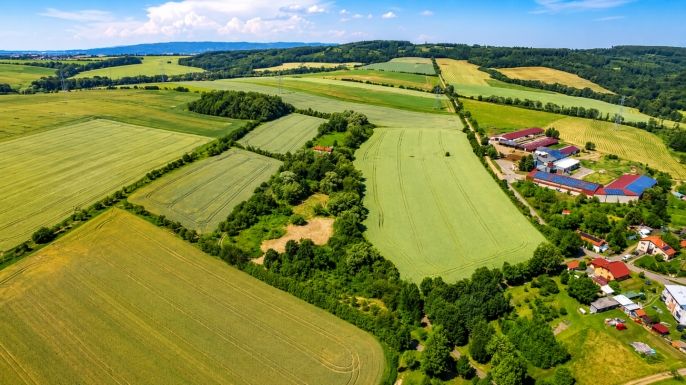 Prodej, Rodinný dům, Soběchleby