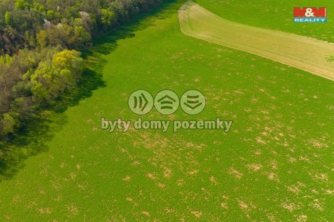 Prodej, Pole, Bílá Lhota