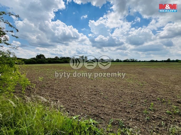 Prodej, Ostatní, Veselí nad Moravou