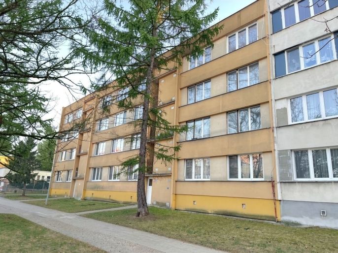 Pronájem, Byt 3+1, Louny