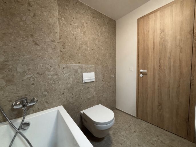 Pronájem, Byt 1+kk, Brandýs nad Labem-Stará Boleslav