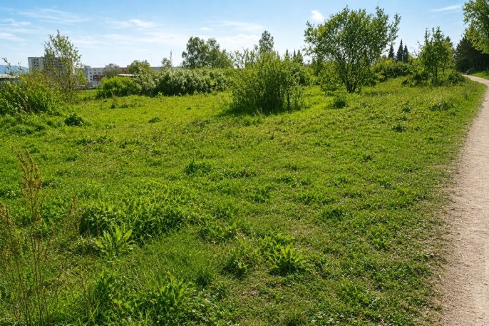 Prodej, Komerční pozemky, Liberec