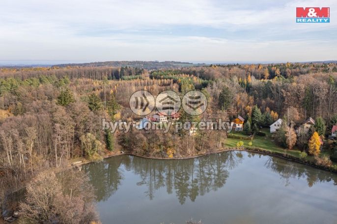 Prodej, Chata, Holotín