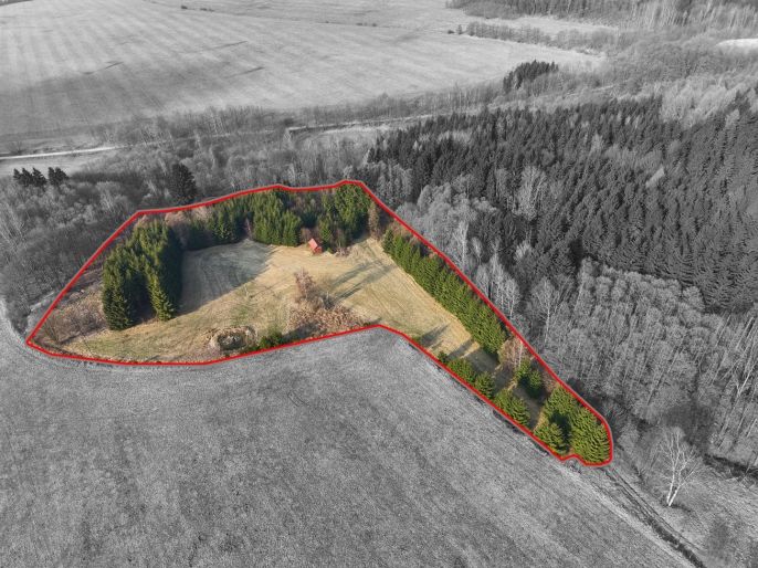 Prodej, Les, Královec