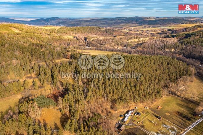 Prodej, Les, Malenice