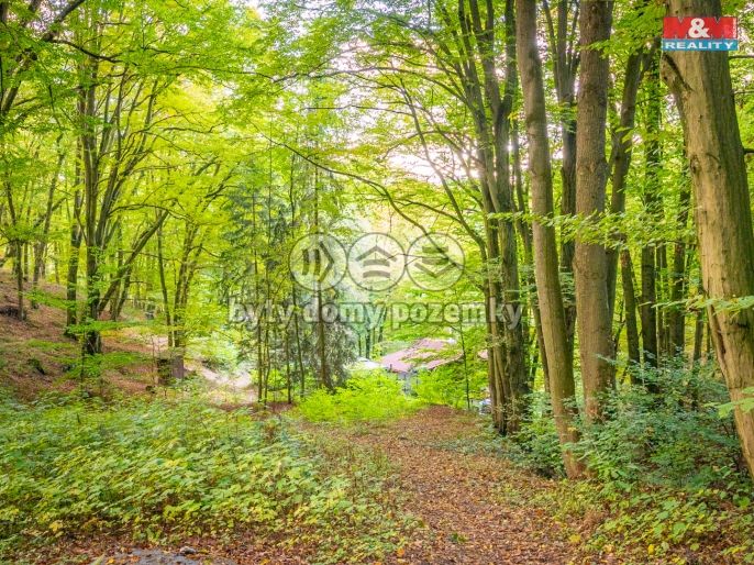 Prodej, Chata, Kaliště