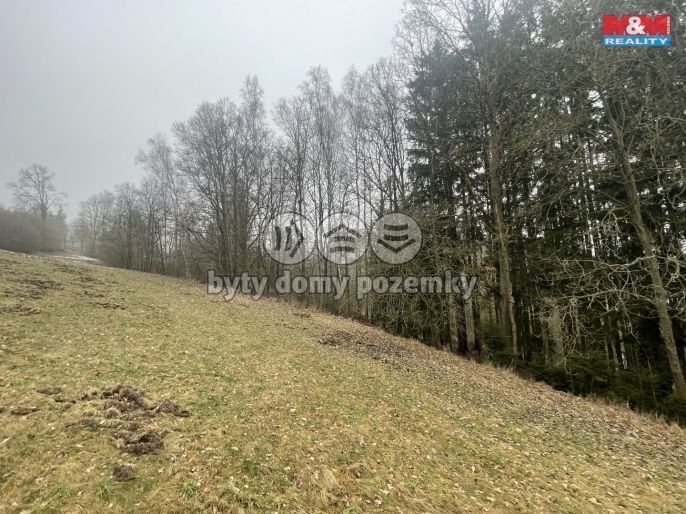 Prodej, Les, Košťálov