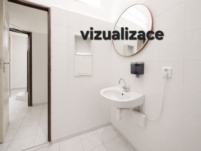 Pronájem, Obchod a služby, Plzeň