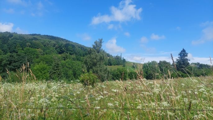 Prodej, Pozemek k bydlení, Chrastava