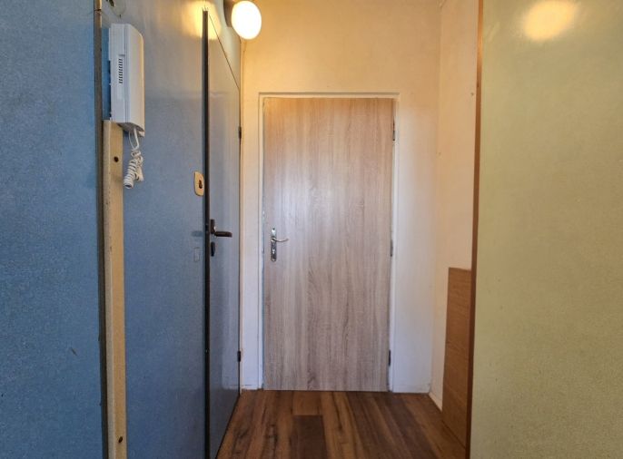 Pronájem, Byt 1+kk, Cheb