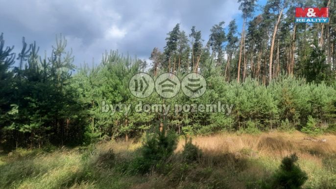 Prodej, Les, Březovice