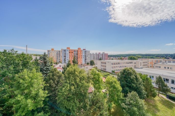 Prodej, Byt 1+kk, Horní Bříza