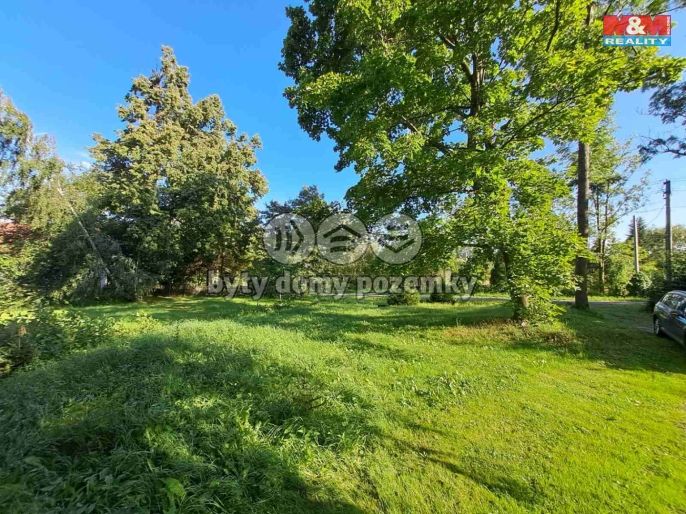 Prodej, Zahrada, Město Albrechtice