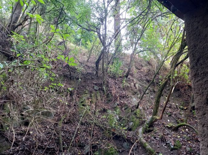 Prodej, Rodinný dům, Horosedly