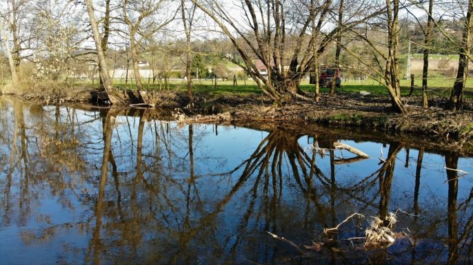 Prodej, Louka, Turnov