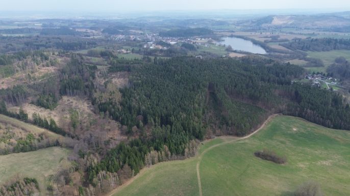 Prodej, Les, Mrákotín