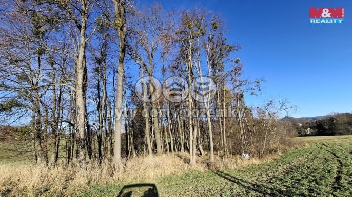 Prodej, Pole, Rožnov pod Radhoštěm