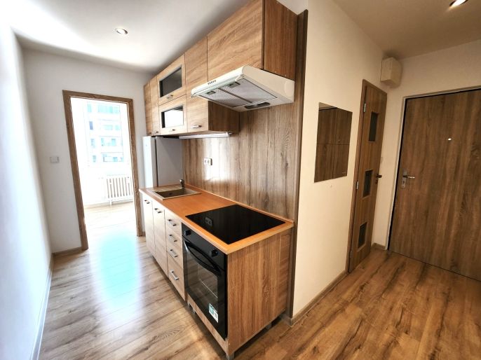 Prodej, Byt 1+1, Louny