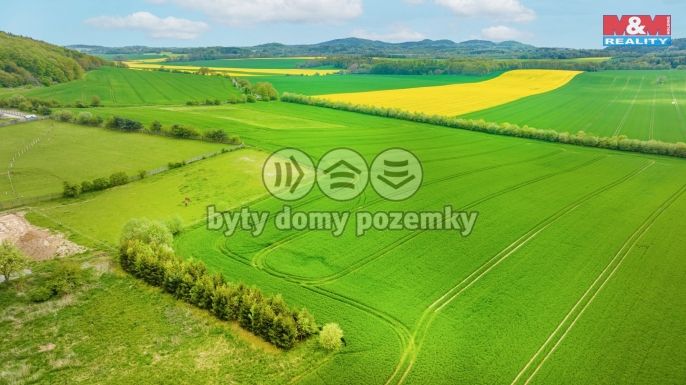 Prodej, Komerční pozemky, Tachov