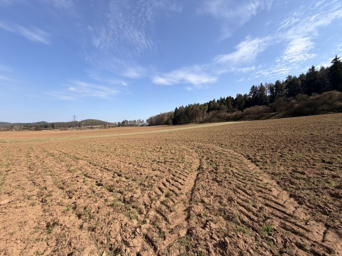 Prodej, Pole, Drevníky