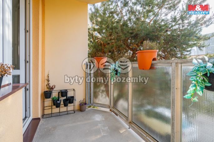 Prodej, Byt 3+kk, České Budějovice