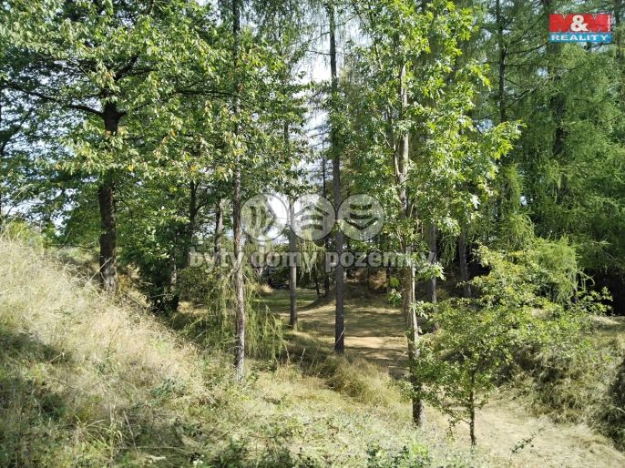 Prodej, Ostatní, Razová