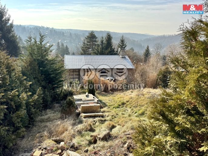 Prodej, Chata, Stříbrná Skalice