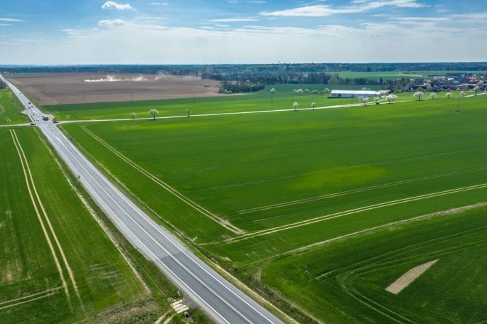 Prodej, Pole, Čistá