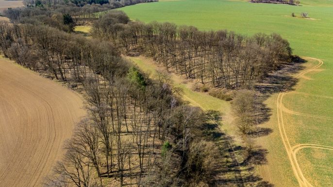 Prodej, Louka, Tachov